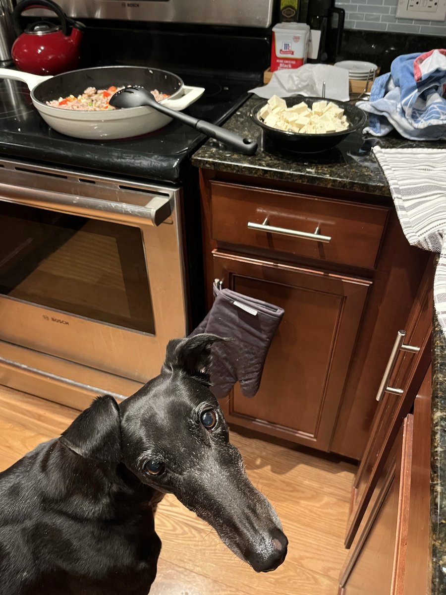 TwirlyTwyla 🌪 tweet media