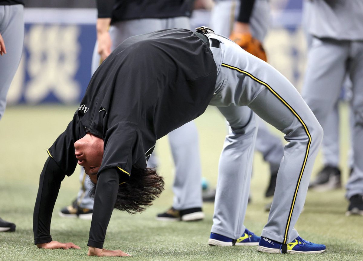 デイリー阪神担当×タイガース tweet media