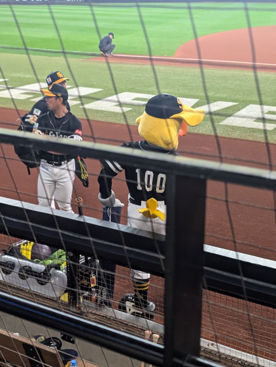 マック@4.11.12エスコン tweet media