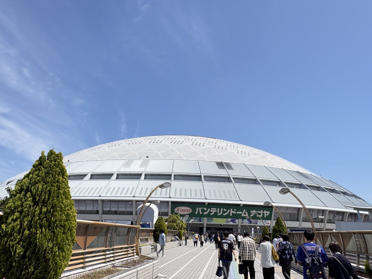 🐯see-1616🐯 tweet media