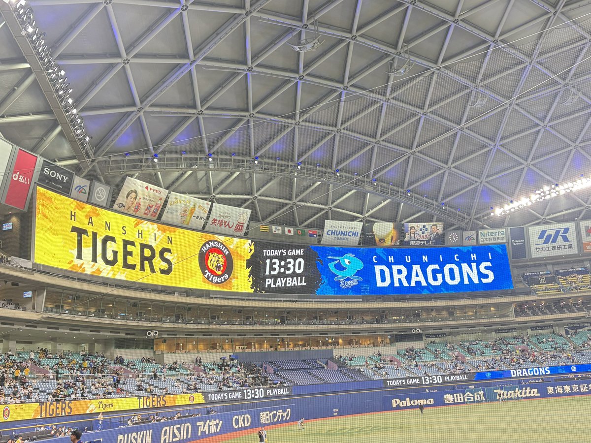 🐯see-1616🐯 tweet media