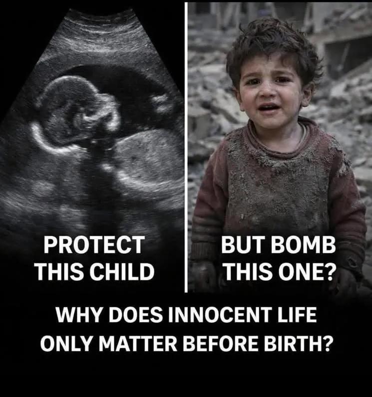 Alexis * FDT💙🇺🇸 🌻🌊 tweet media