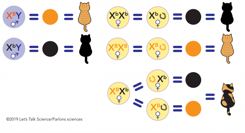 txt dari kucing 🐾 tweet media