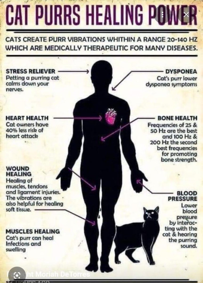 🪬AK ULTRA 143 tweet media