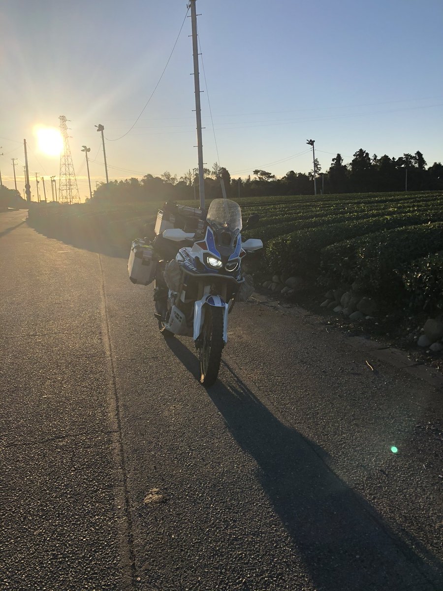 シュート tweet media