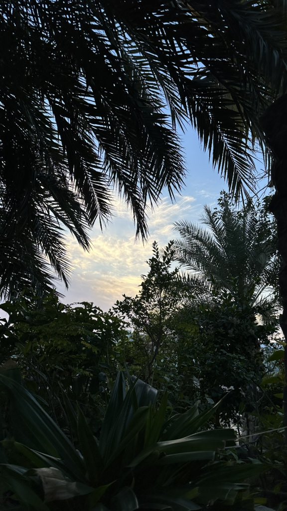 لولو | 🫐 tweet media