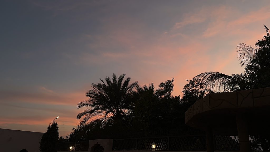 لولو | 🫐 tweet media