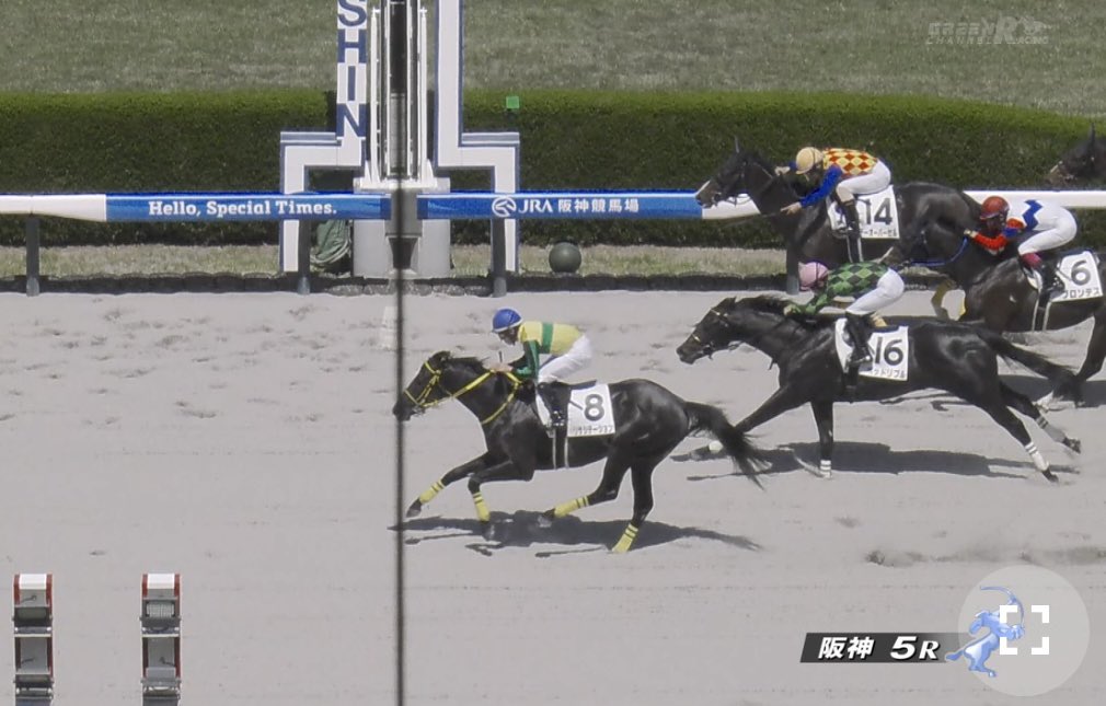 New🎯のんたん tweet media