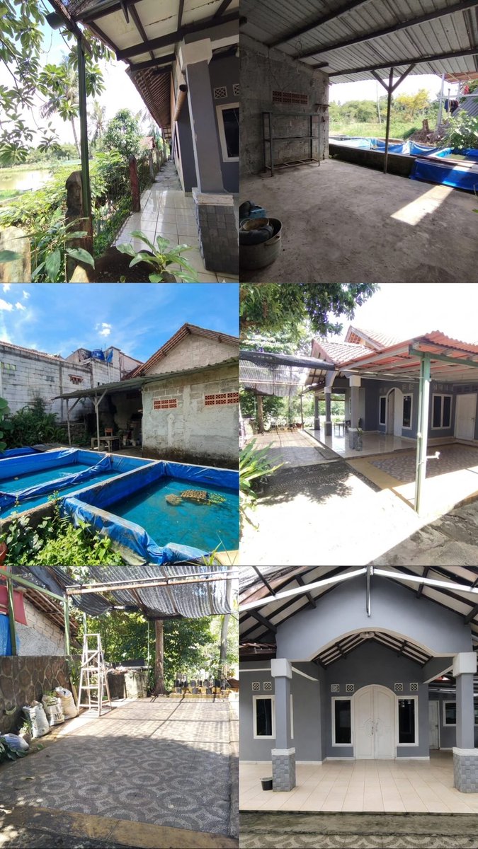 zythamp's tweet photo. Assalamualaikum 🤍
Dijual rumah asri, luas &amp; suasana sejuk dekat kota 🌿

📍 Bojongsari, Kota Depok

🏡 LT 270 m² | LB 200 m²
🛏 4 kamar tidur | 🚿 2 kamar mandi

✨ Halaman luas depan &amp; belakang
✨ Lingkungan aman &amp; nyaman
✨ Dekat tol Desari &amp; fasilitas umum. https://t.co/qF0Yn5wws6