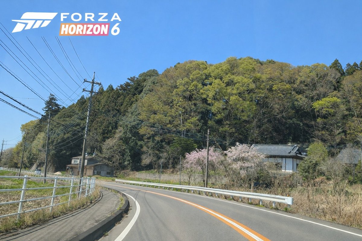 ハル(⁠･ั⁠ω⁠･ั⁠) tweet media