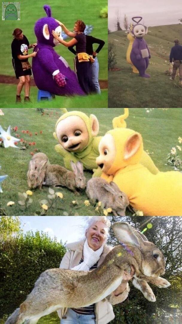 Tanyarlfes tweet media