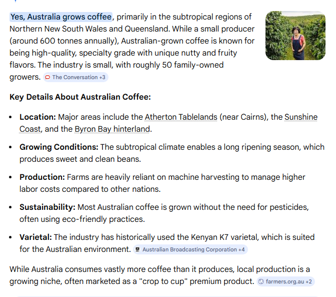 Catriona Thoolen 🐱 tweet media