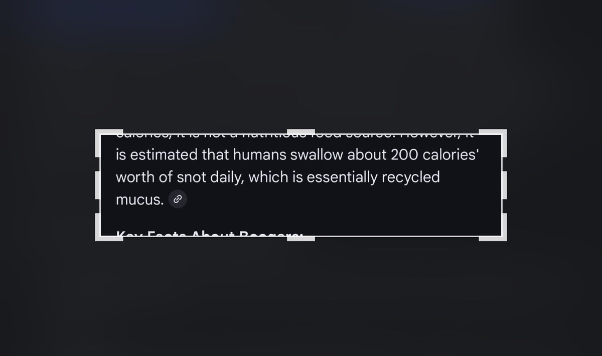 𝖔𝖈𝖙𝖔𝖇𝖊𝖗 tweet media