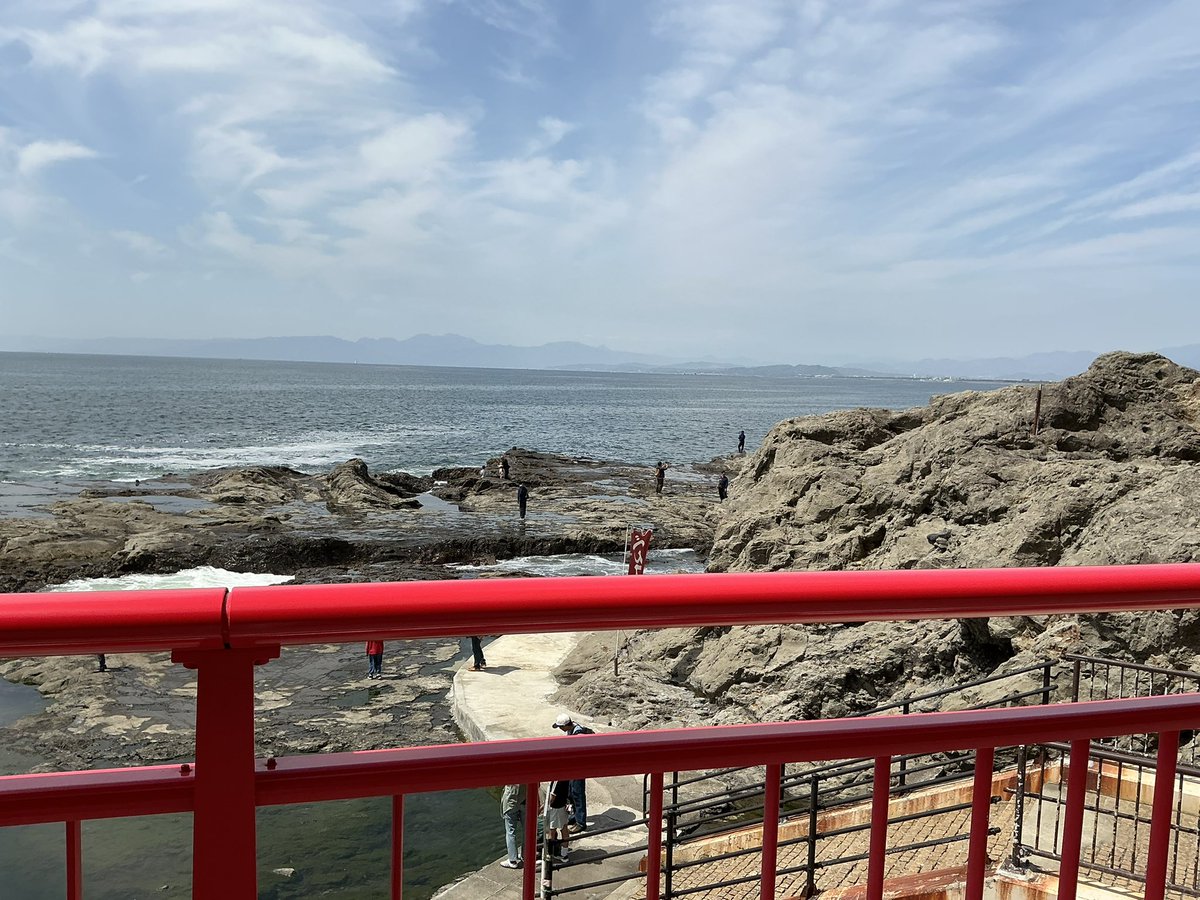 ひゃま tweet media