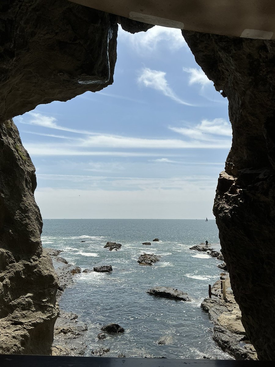 ひゃま tweet media