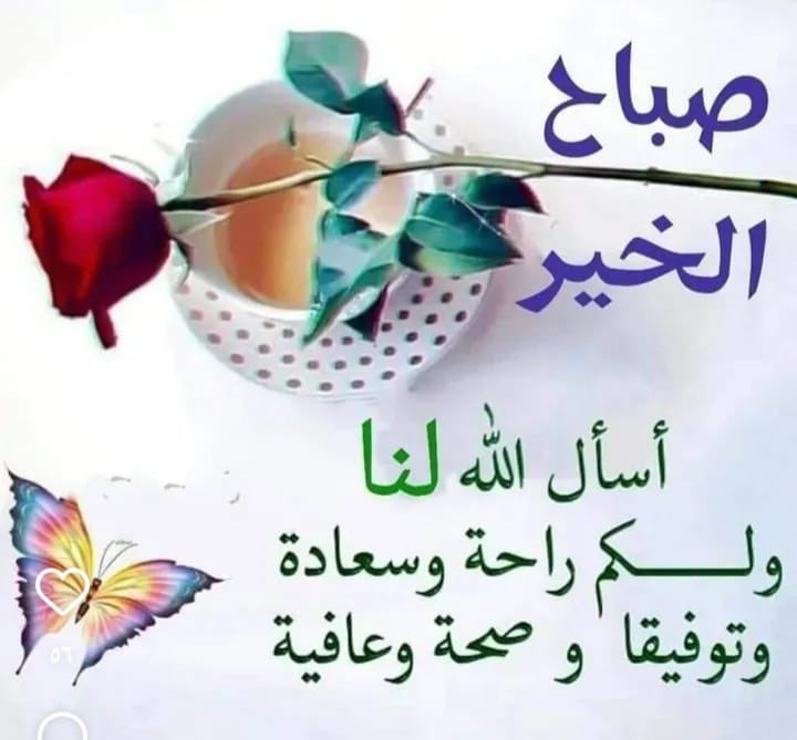 <a href="/abomustafa641/">أبو مصطفى</a>