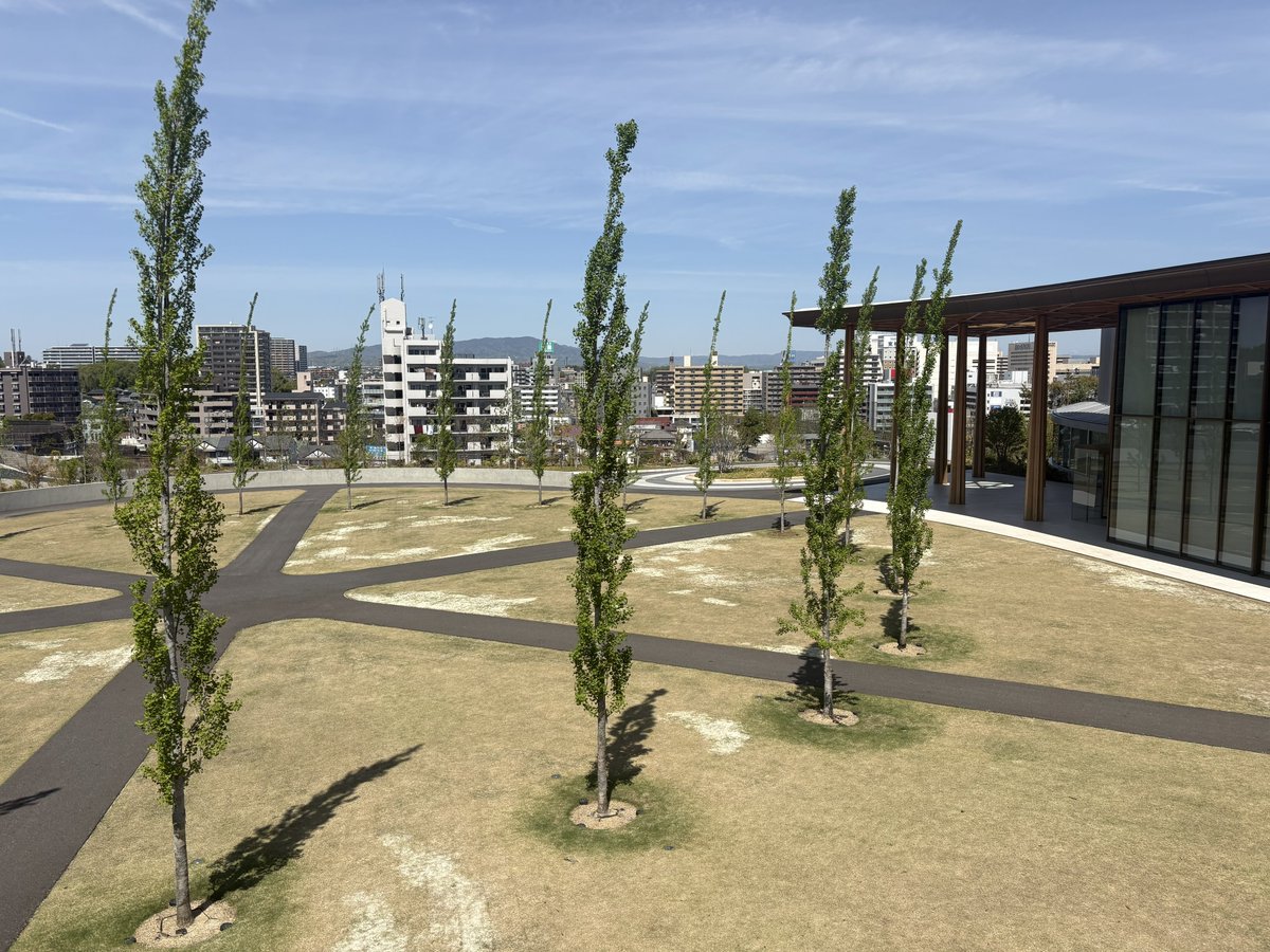 たまにぃ~仇⃝~ tweet media