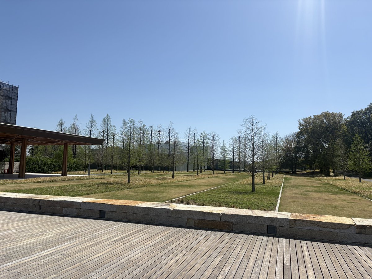 たまにぃ~仇⃝~ tweet media