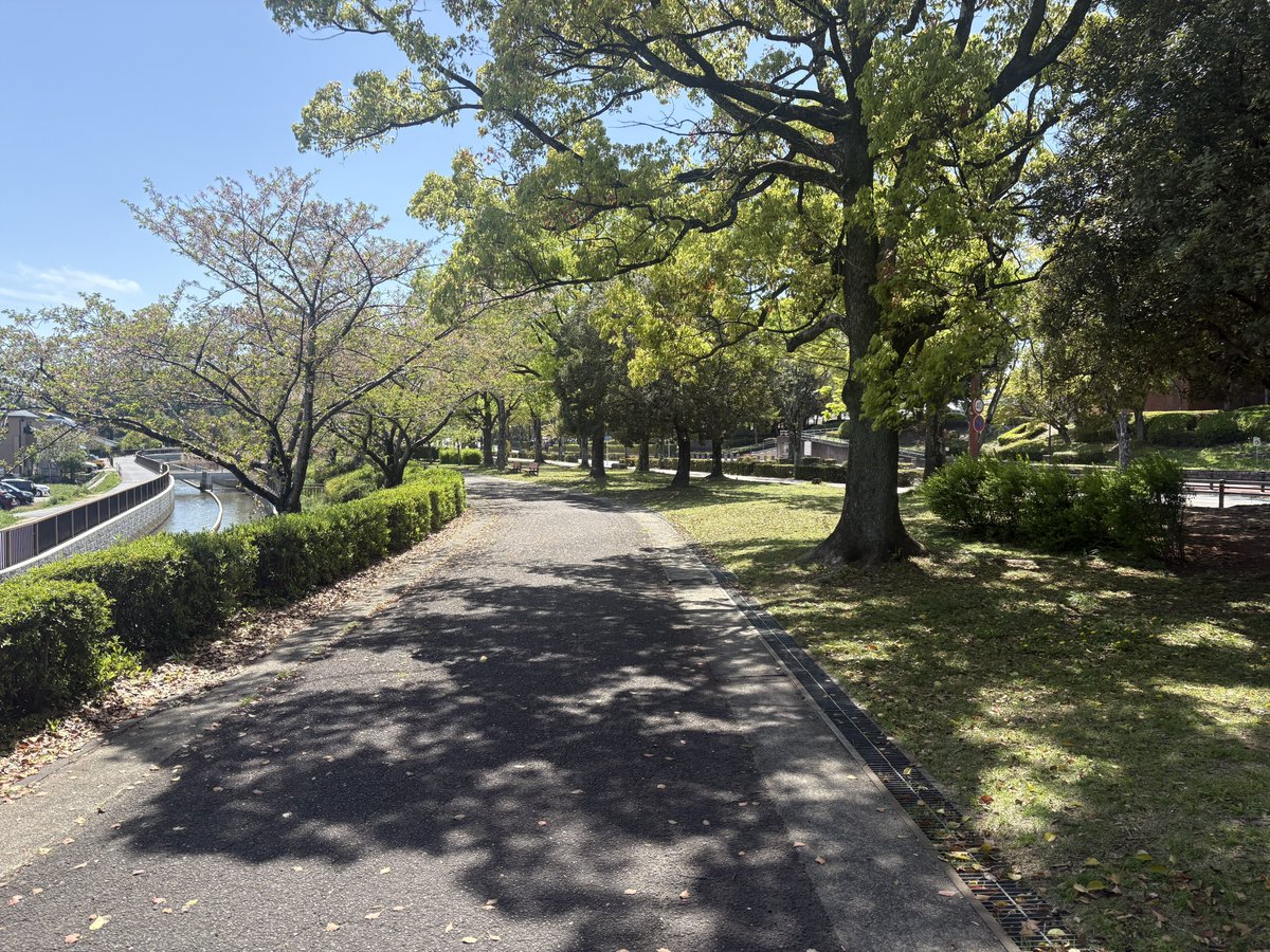 たまにぃ~仇⃝~ tweet media