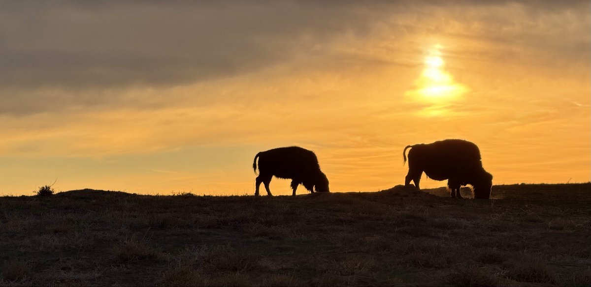 D Miller tweet media