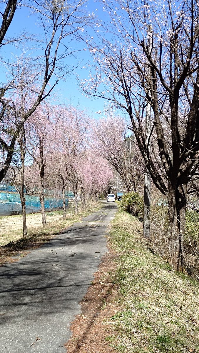 freedwildmonkey's tweet photo. 何の変哲もない田舎道、
でも五十年前は鉄道の線路だった https://t.co/DM7GMg1c1n