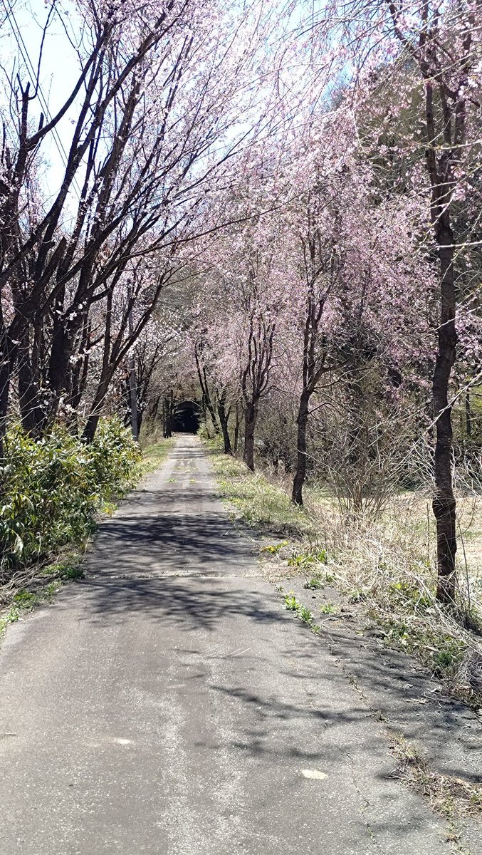 freedwildmonkey's tweet photo. 何の変哲もない田舎道、
でも五十年前は鉄道の線路だった https://t.co/DM7GMg1c1n