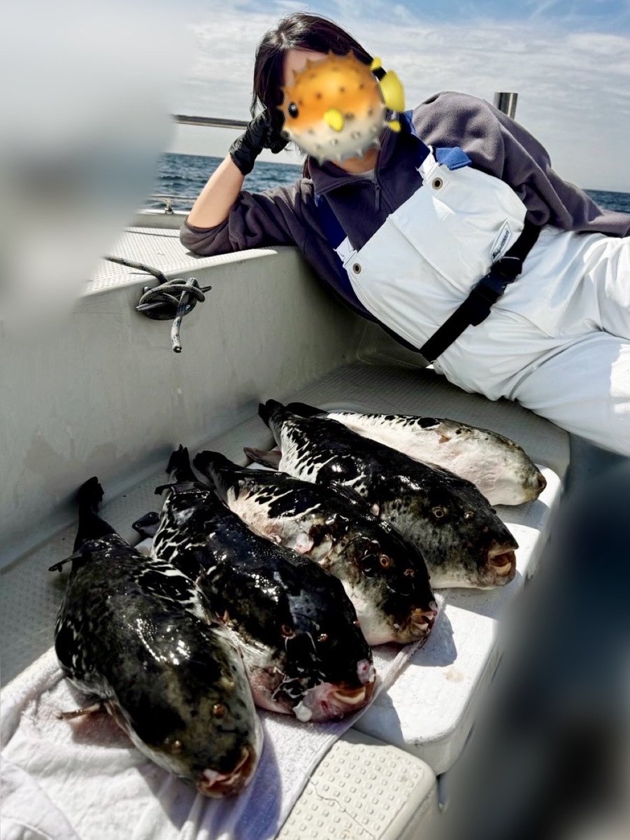 えのちゃん tweet media