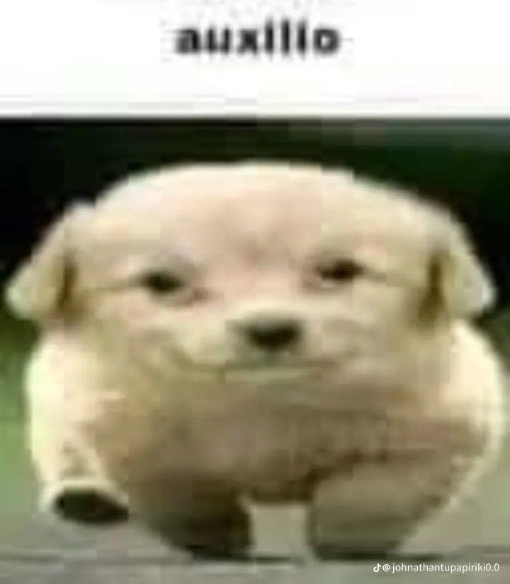 𝐺𝑒𝑖𝑛𝑒𝑟 ≛ tweet media