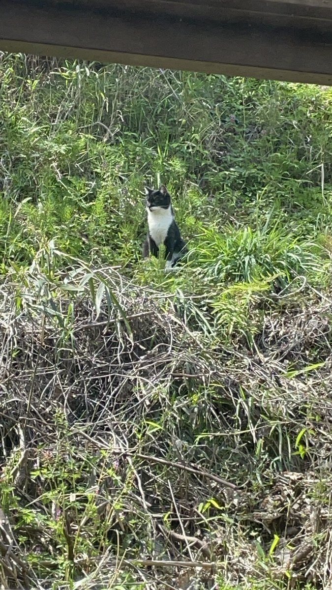 matopy(的場英也) tweet media