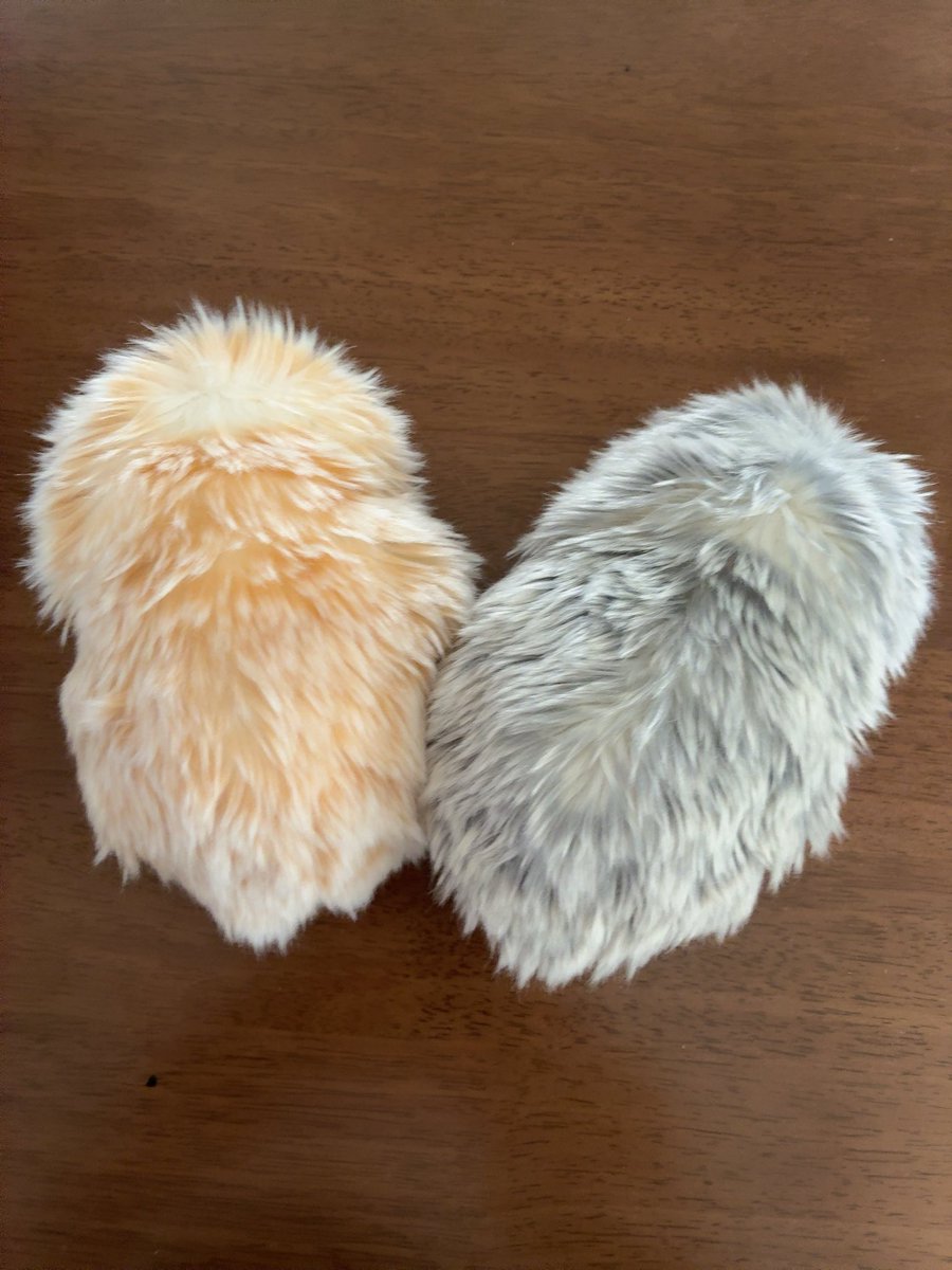 くぅまもん@ tweet media