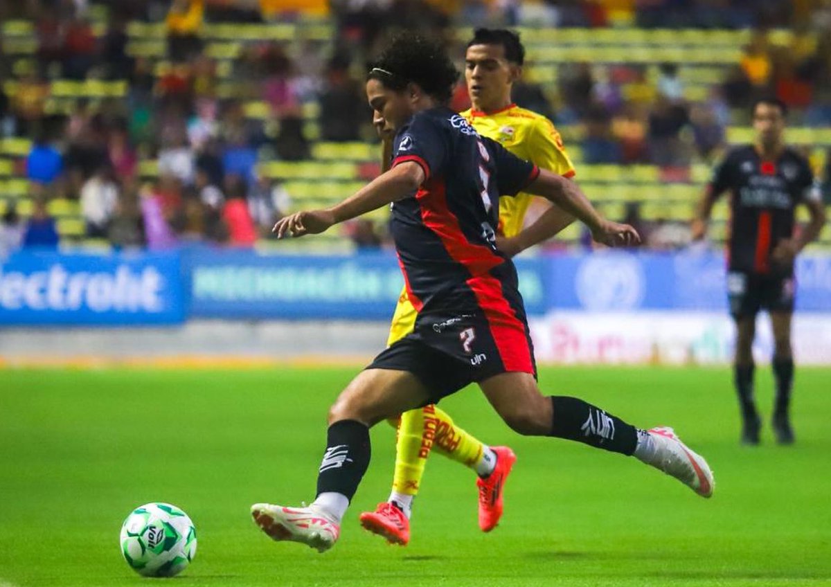 Liga de Plata MX tweet media