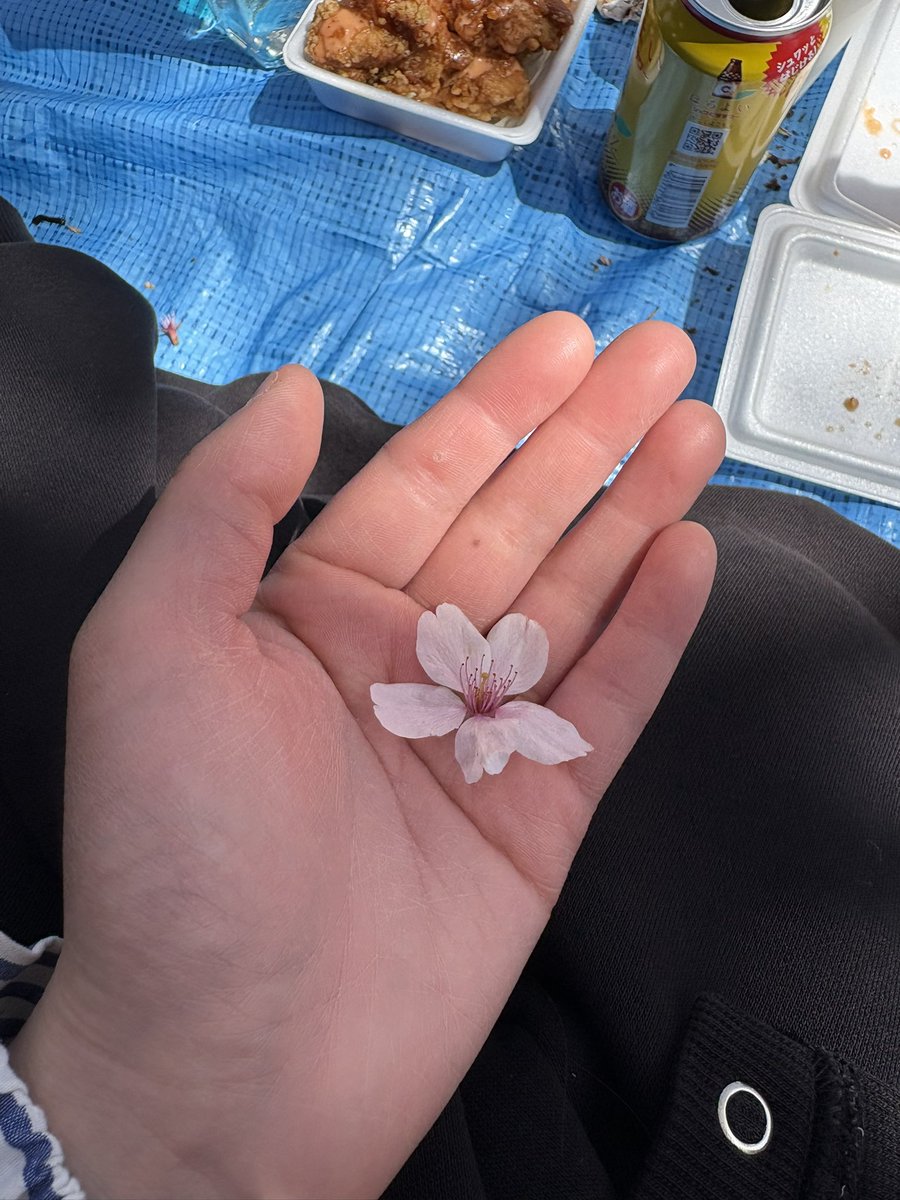 レオ🌹@ニコバー仙台国分町 Mixコンカフェ tweet media