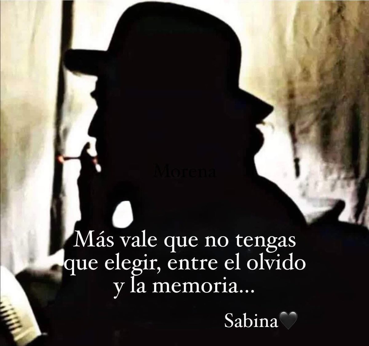 Sabina24/7 tweet media