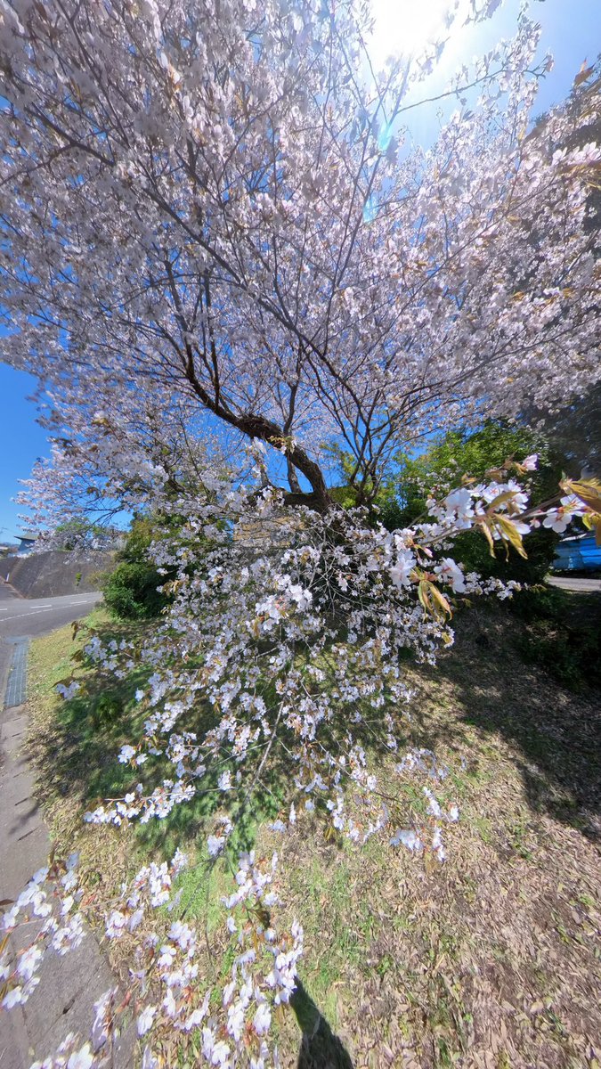じぇふ tweet media