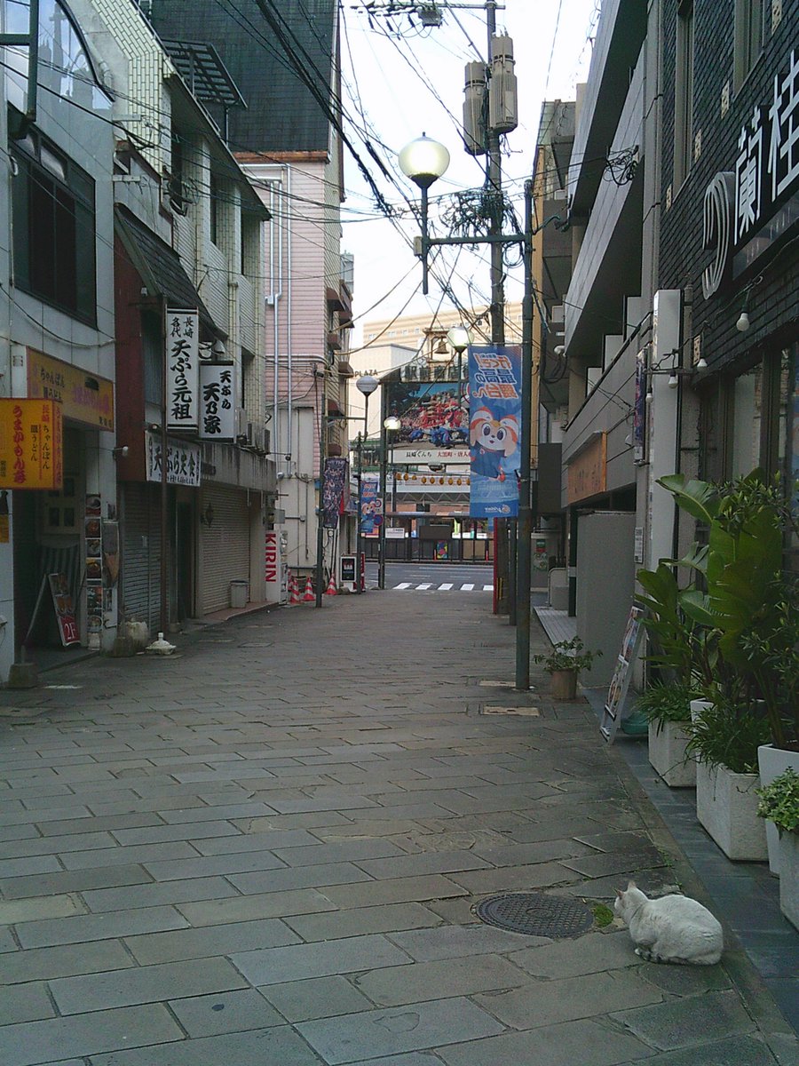 えんぴつ tweet media