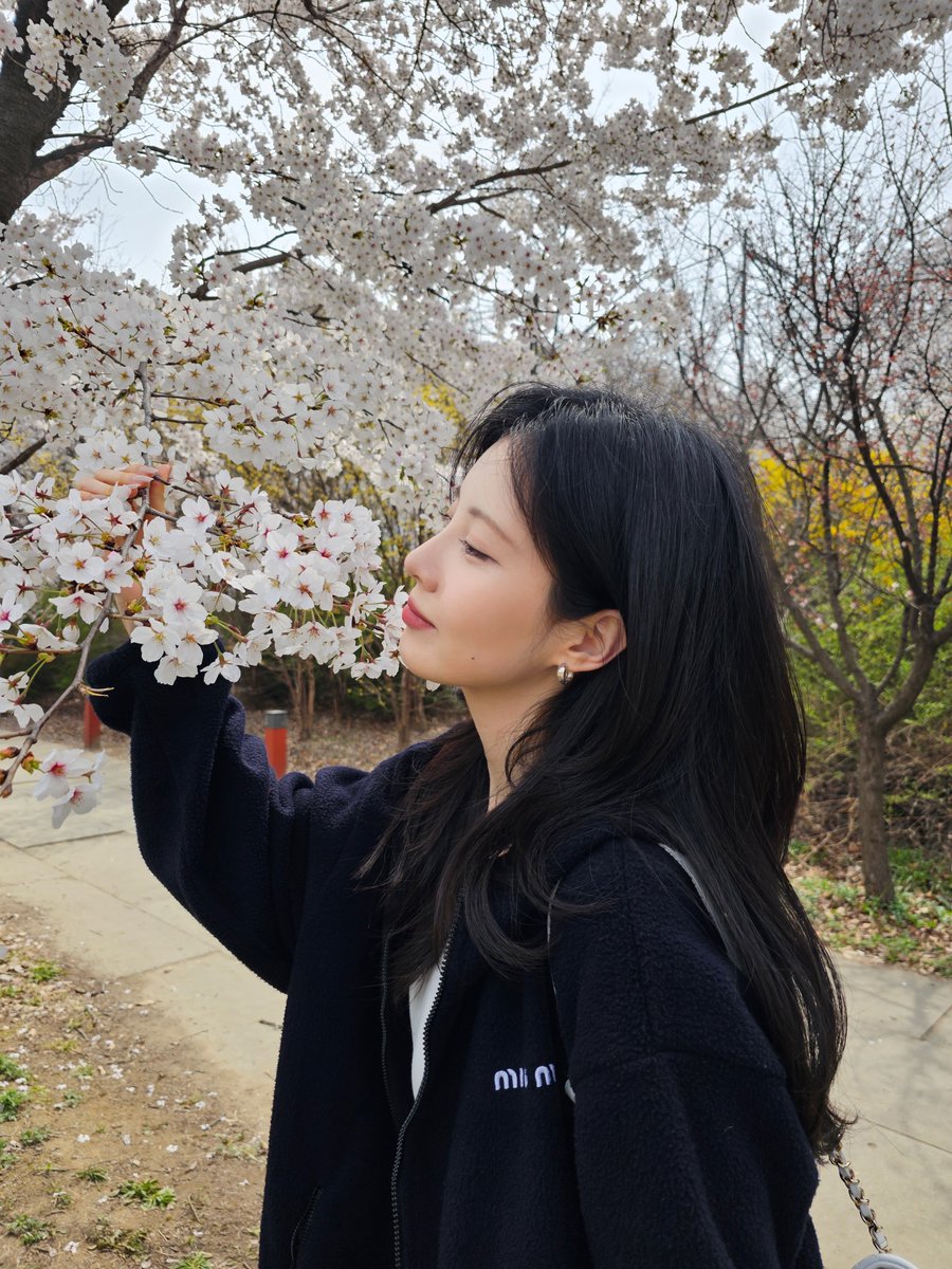 seohyunfeed's tweet photo. Seohyun 🫧 Update 🌸🌸🌸 https://t.co/bi9GQmnxp0