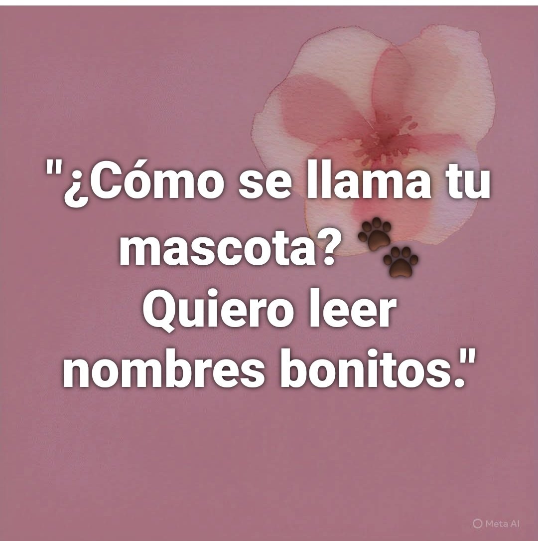 Manu Saenz💛💛 tweet media