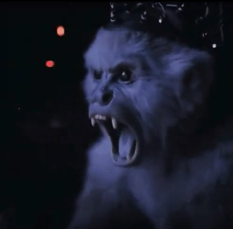 kaleido™ 🇧🇫 tweet media