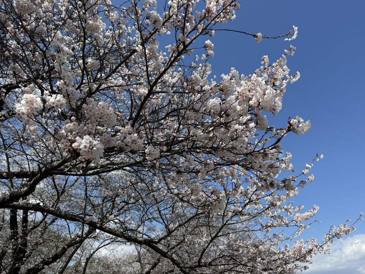 ヘリオス•ロード☀️🎮個人勢Vtuber tweet media