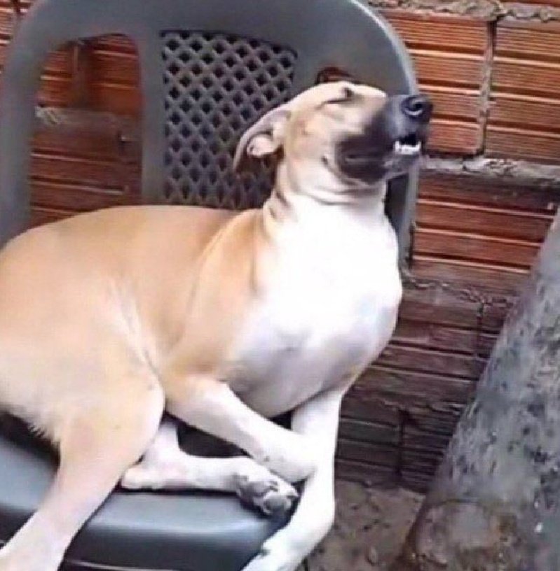 ノイトラ³ 𝐌𝐚𝐮𝐥 𝐒𝐡𝐚𝐝𝐨𝐰 𝐋𝐨𝐫𝐝 tweet media