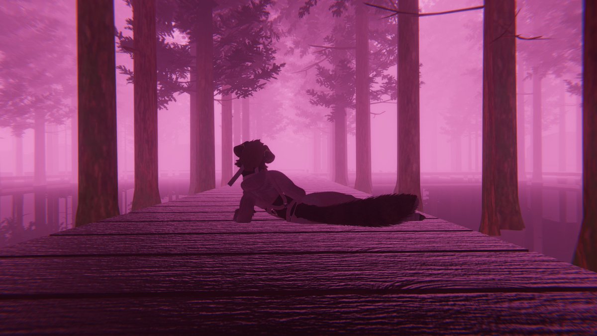 Rexykibus's tweet photo. Purple forest 🌳 https://t.co/1OQJhvhY8f