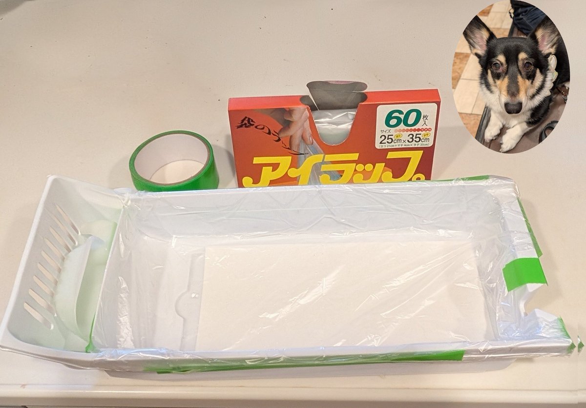 夏に向けてのライフハックですが、冷蔵庫の貯氷ボックスに「アイラップ」を敷くと氷同士がくっつかず快適です。
うちは養生テープで固定してます。
アイラップの底と左右どちらかを切り落として開くと1枚でいけます。

#コーギーのいる暮らし
#アイラップ