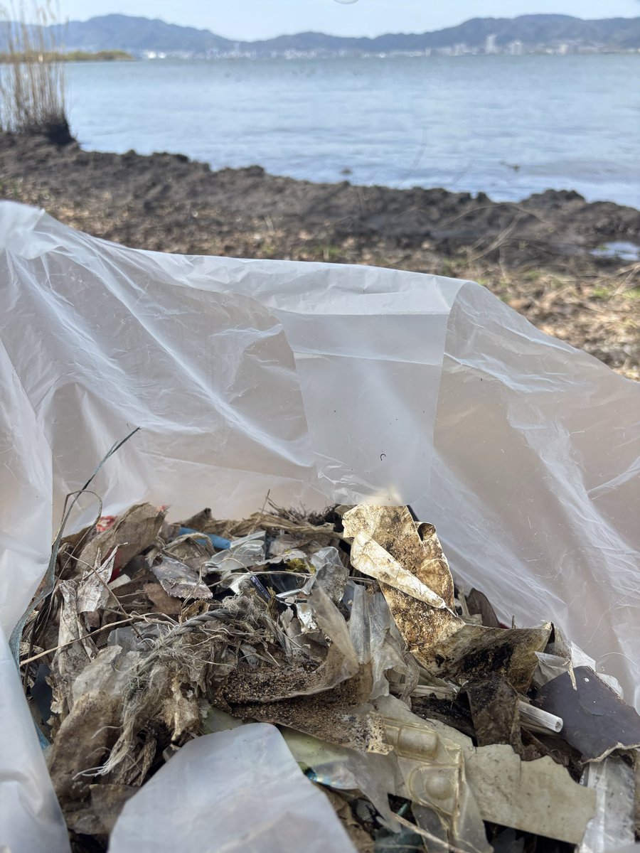 BassPuzzle／バスパズル tweet media