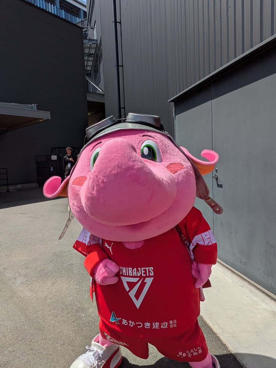 いつも元気いっぱい！SJ！ありがゾウ🐘🩷ぱおん❤️‍🔥
じーーーーーっサングラスかけてるけど…私です😂akanechinです😎