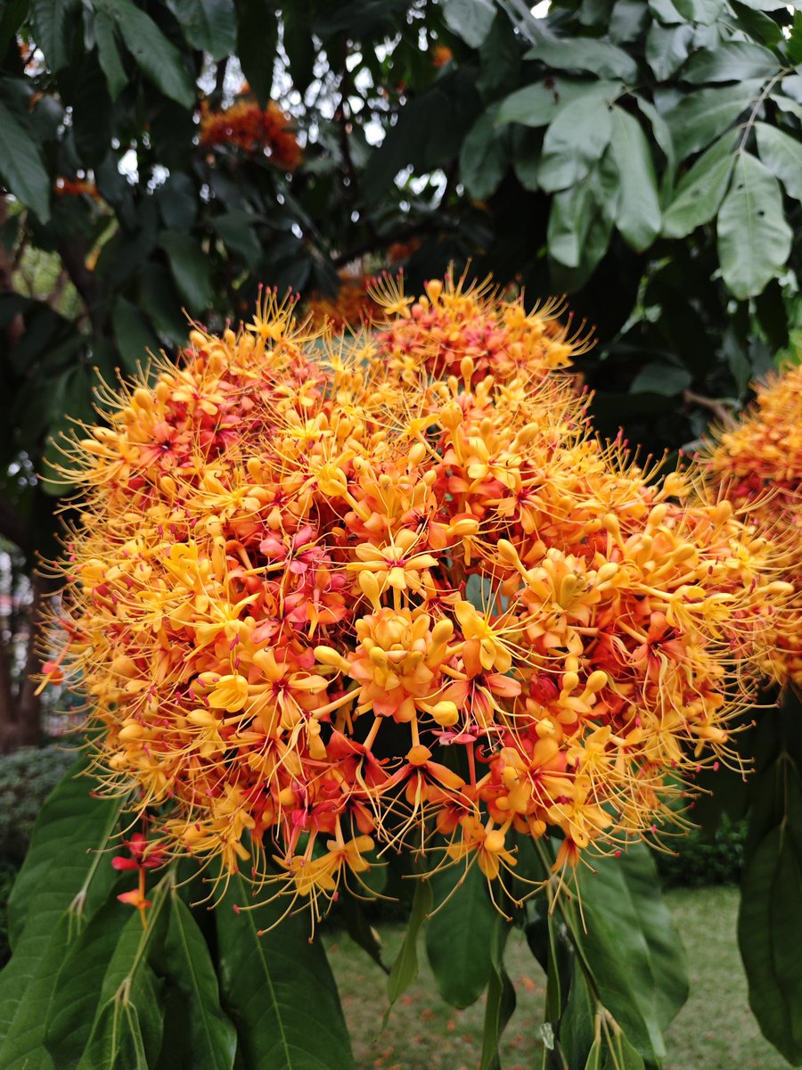 海霞晴空 tweet media