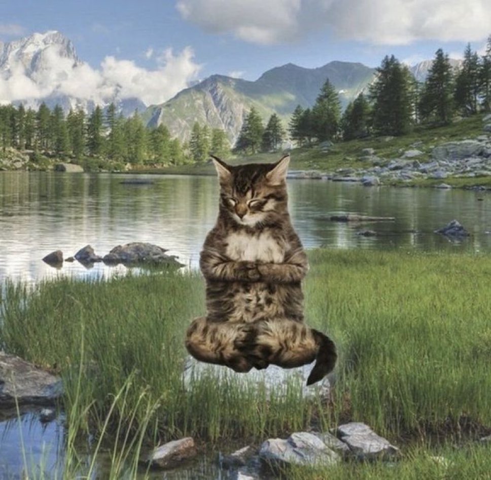 andrés. tweet media