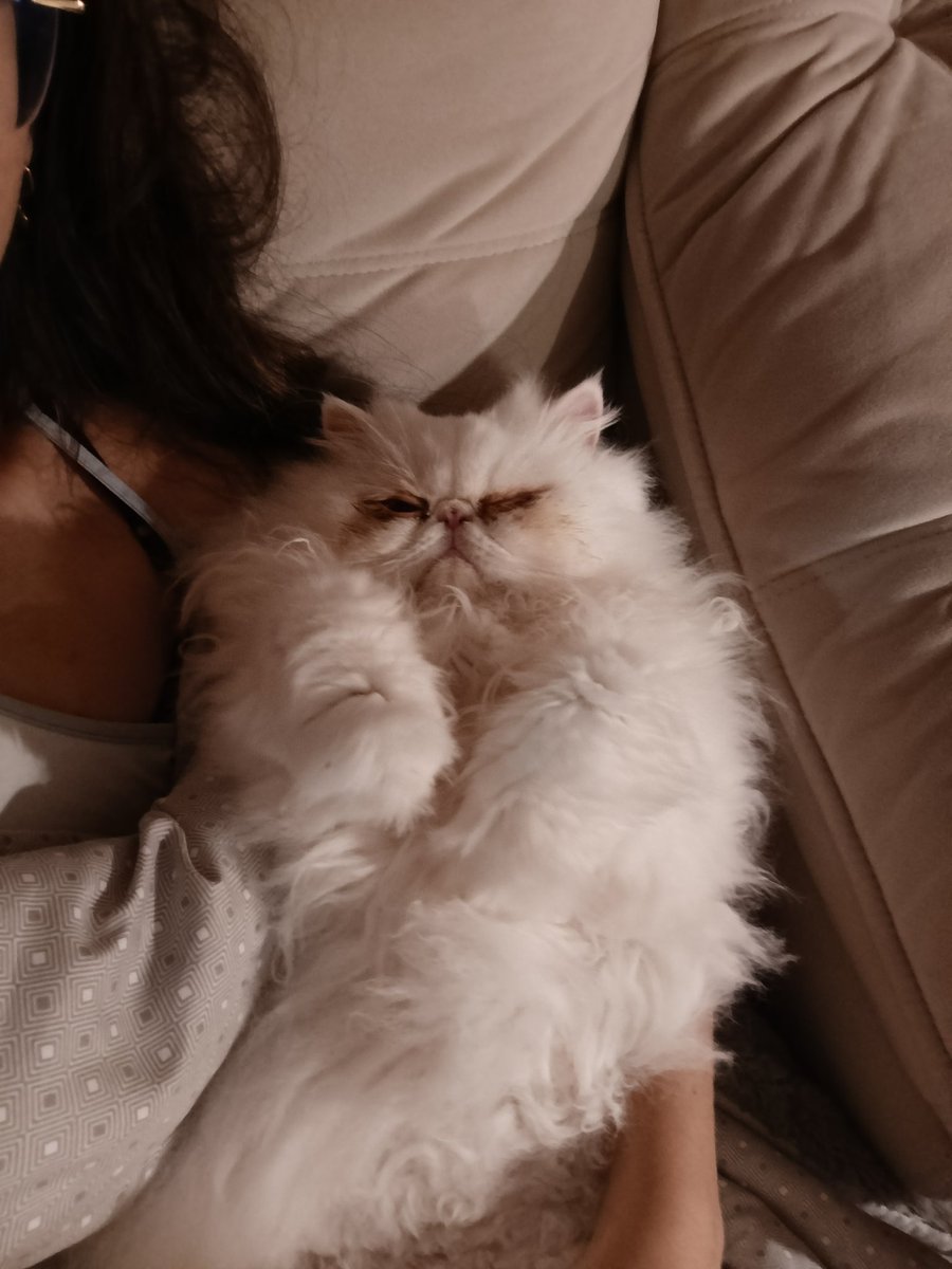 misu¡ VIU O SKZ tweet media