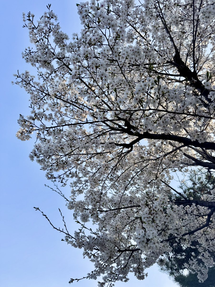 ♔ RivaShane ♔ tweet media