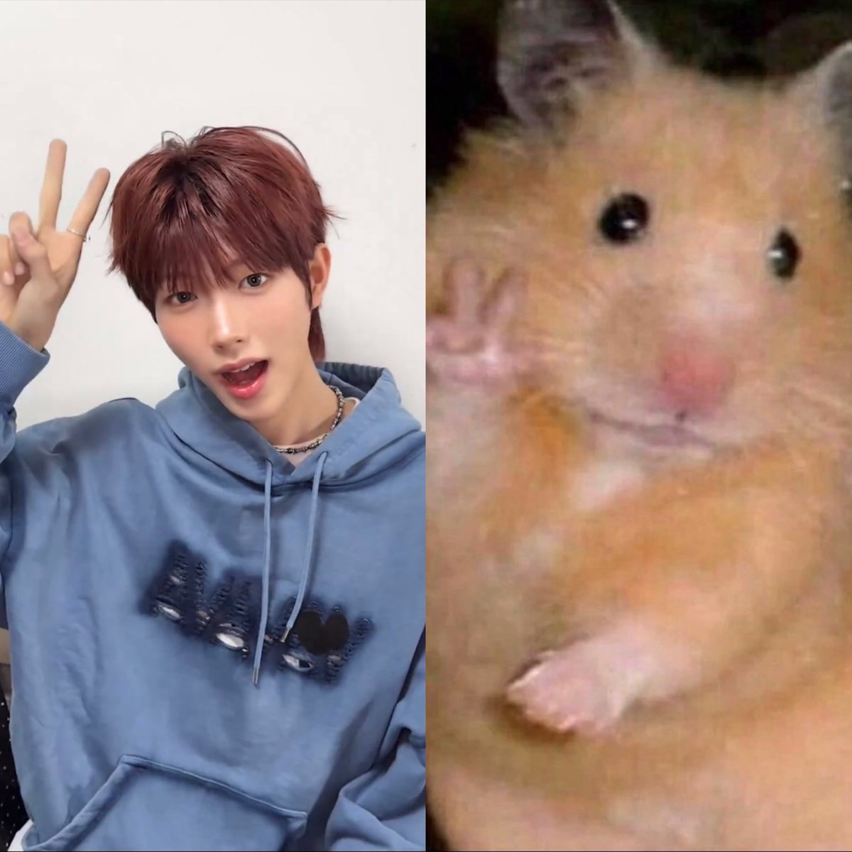 야물딱 tweet media