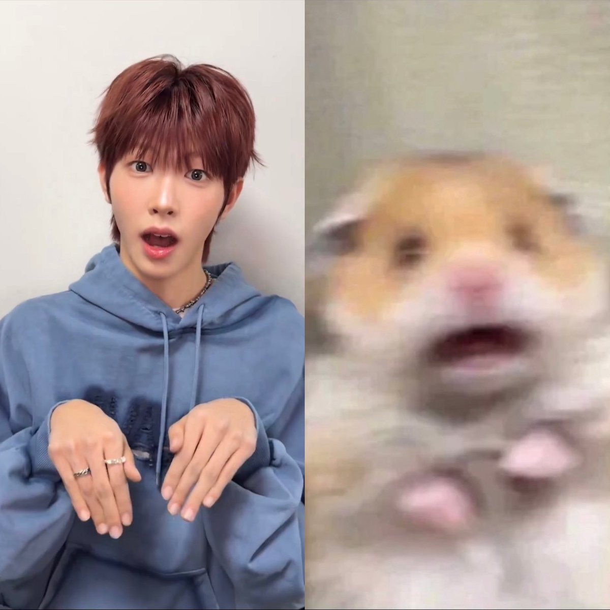 야물딱 tweet media